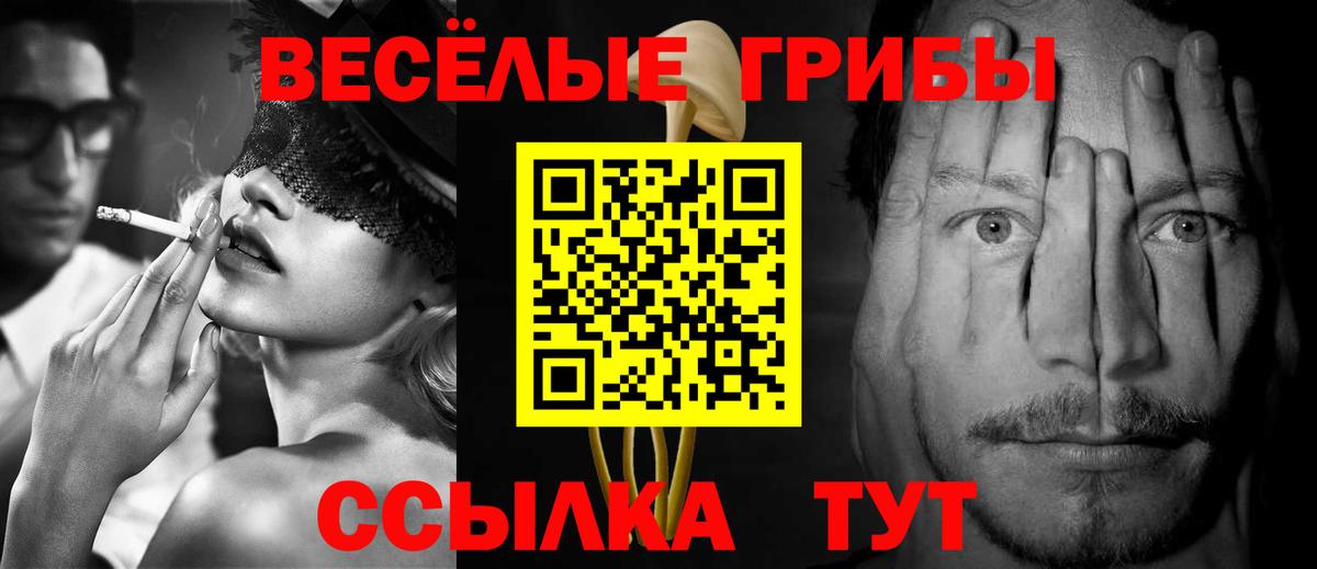 Галлюциногенные грибы MAGIC MUSHROOMS Гусев