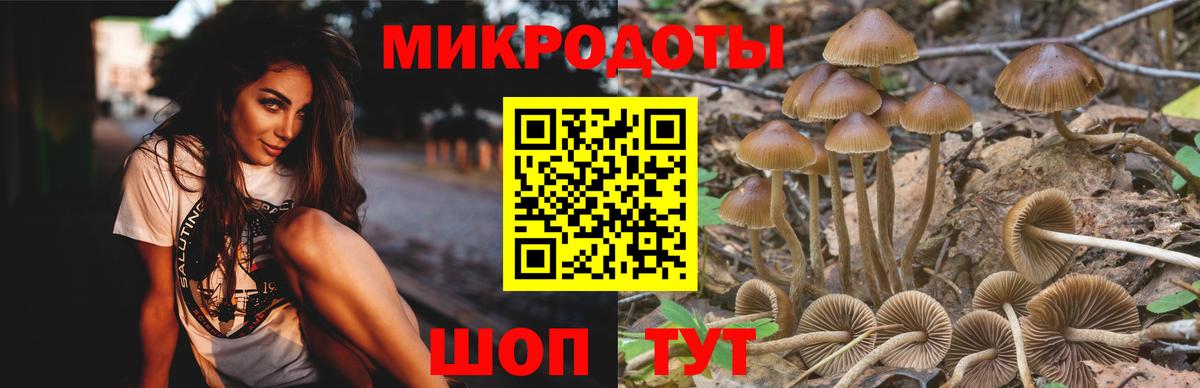 Гусев  Галлюциногенные грибы мицелий  Вход с VPN 