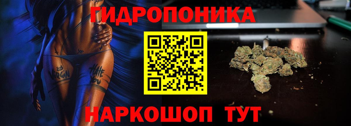 Гусев  Марихуана план  Вход с VPN  Бошки Шишки Ganja  МАРИХУАНА OG Kush 